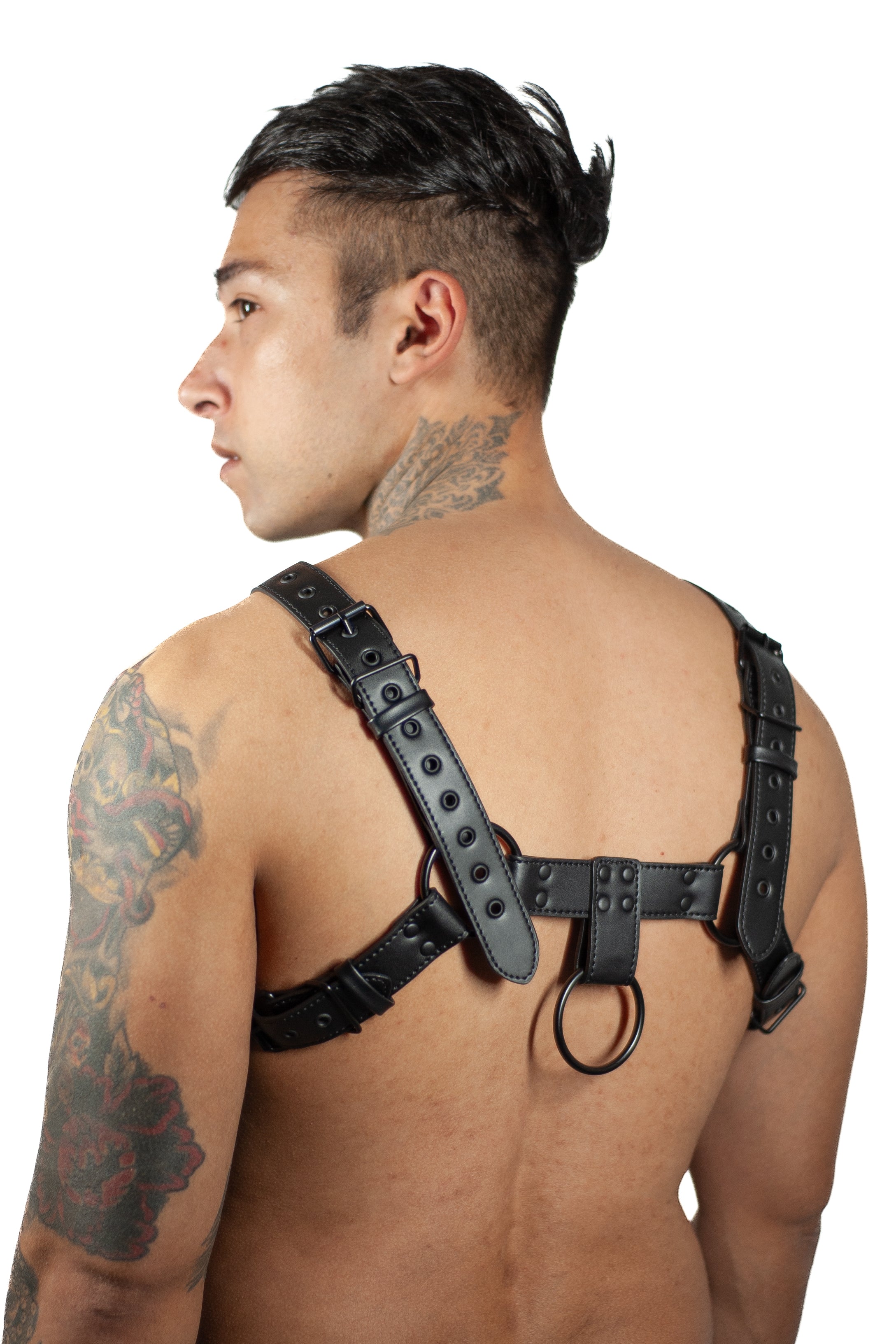 Black O-Ring Harness