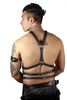Chain Halter Harnesses