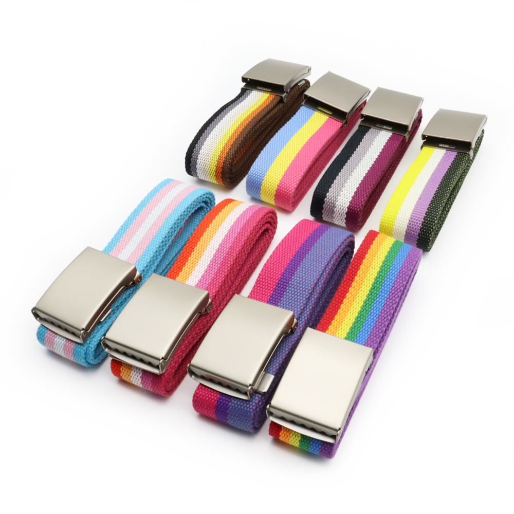 Pride Gürtel (Diversity)
