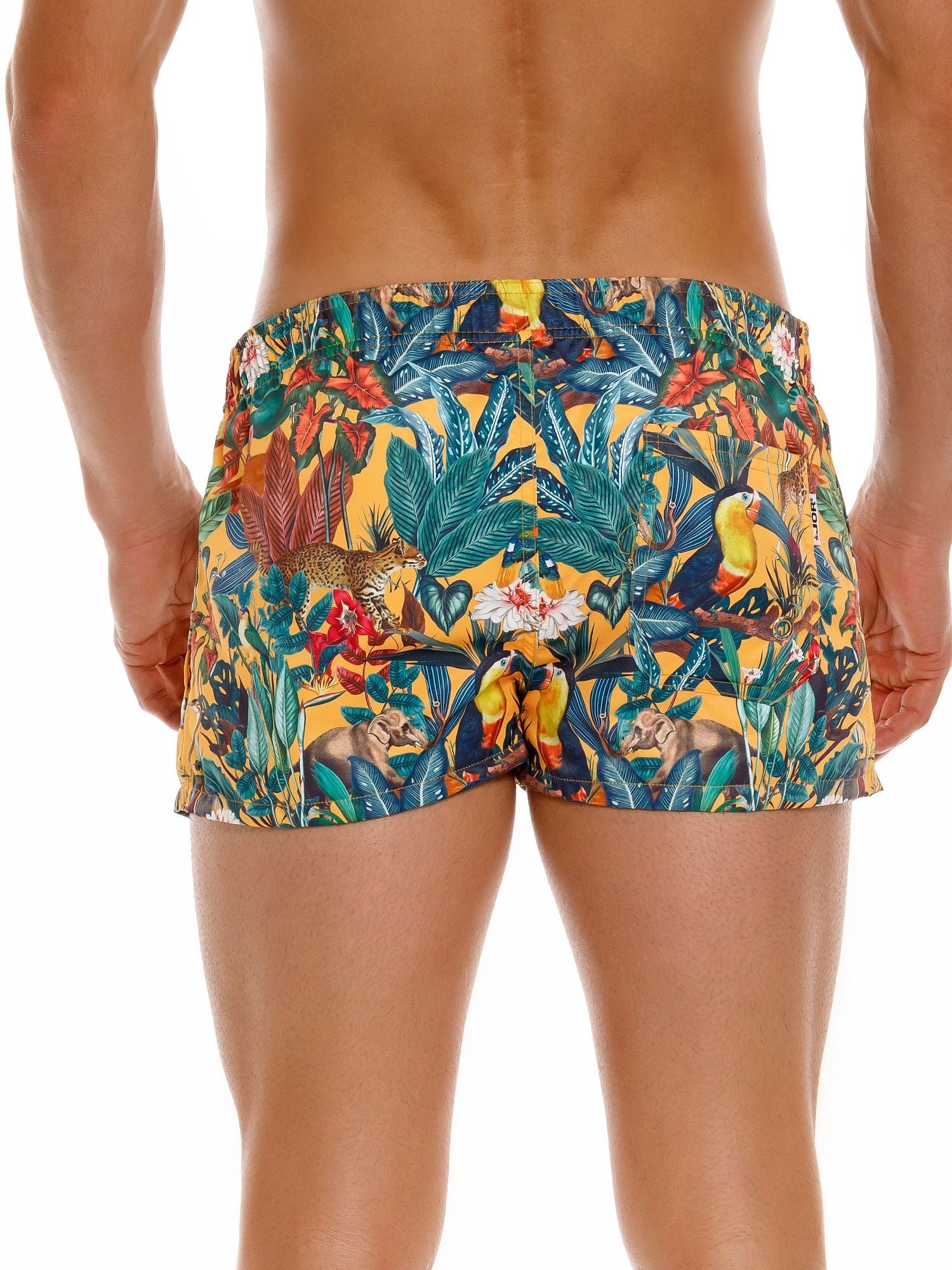 JOR 2017 TROPICAL MINI Badeshorts Surfershorts bedruckt Motiv - noodosz - Jor - Kleidung & Accessoires:Herren:Herrenmode:Bademode JOR 2017 TROPICAL MINI Badeshorts Surfershorts bedruckt Motiv Jor Kleidung & Accessoires:Herren:Herrenmode:Bademode nudosz.myshopify.com