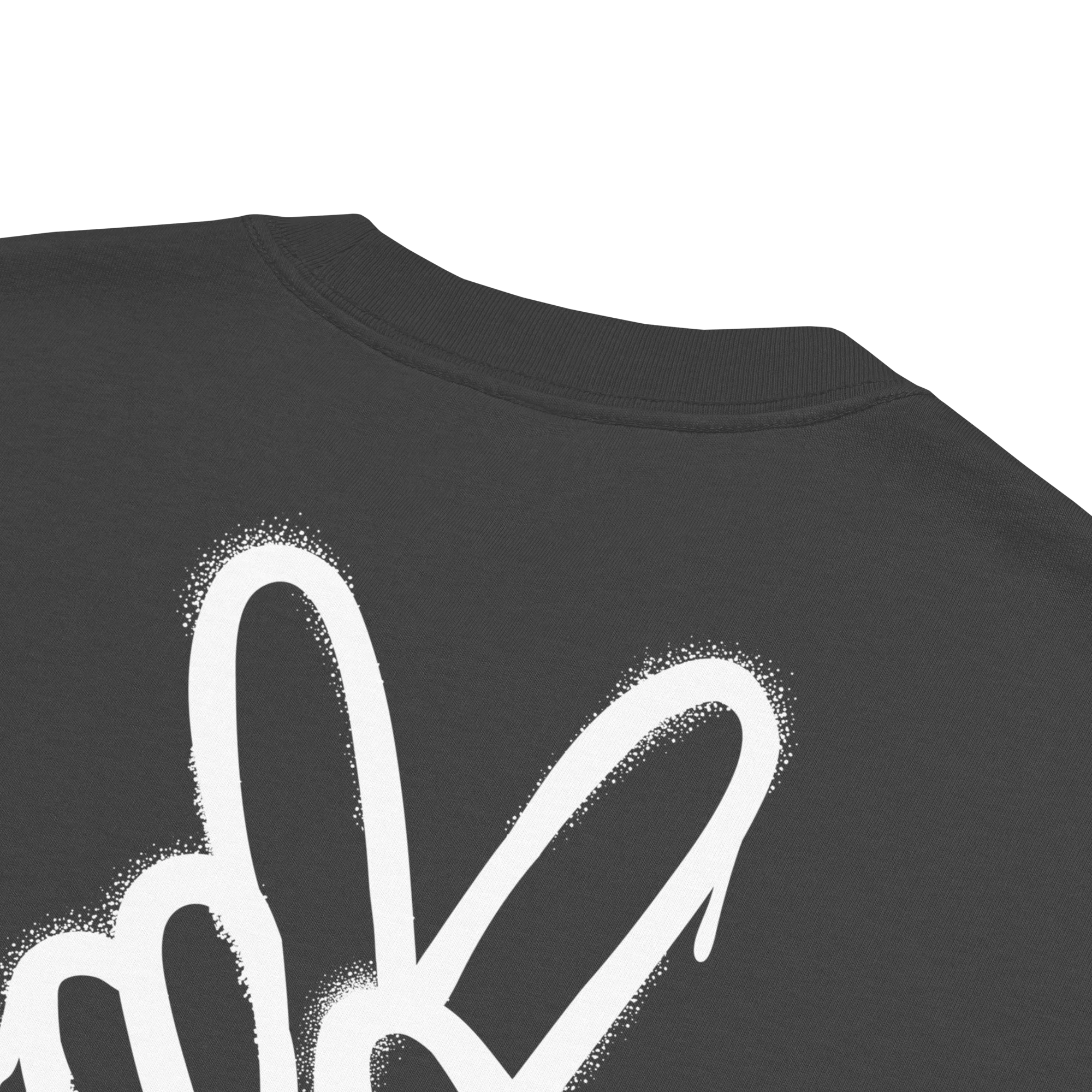 Oversized T-Shirt "Spray Peace", backprint