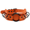 Choker Necklace and Collar