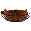Choker Necklace and Collar