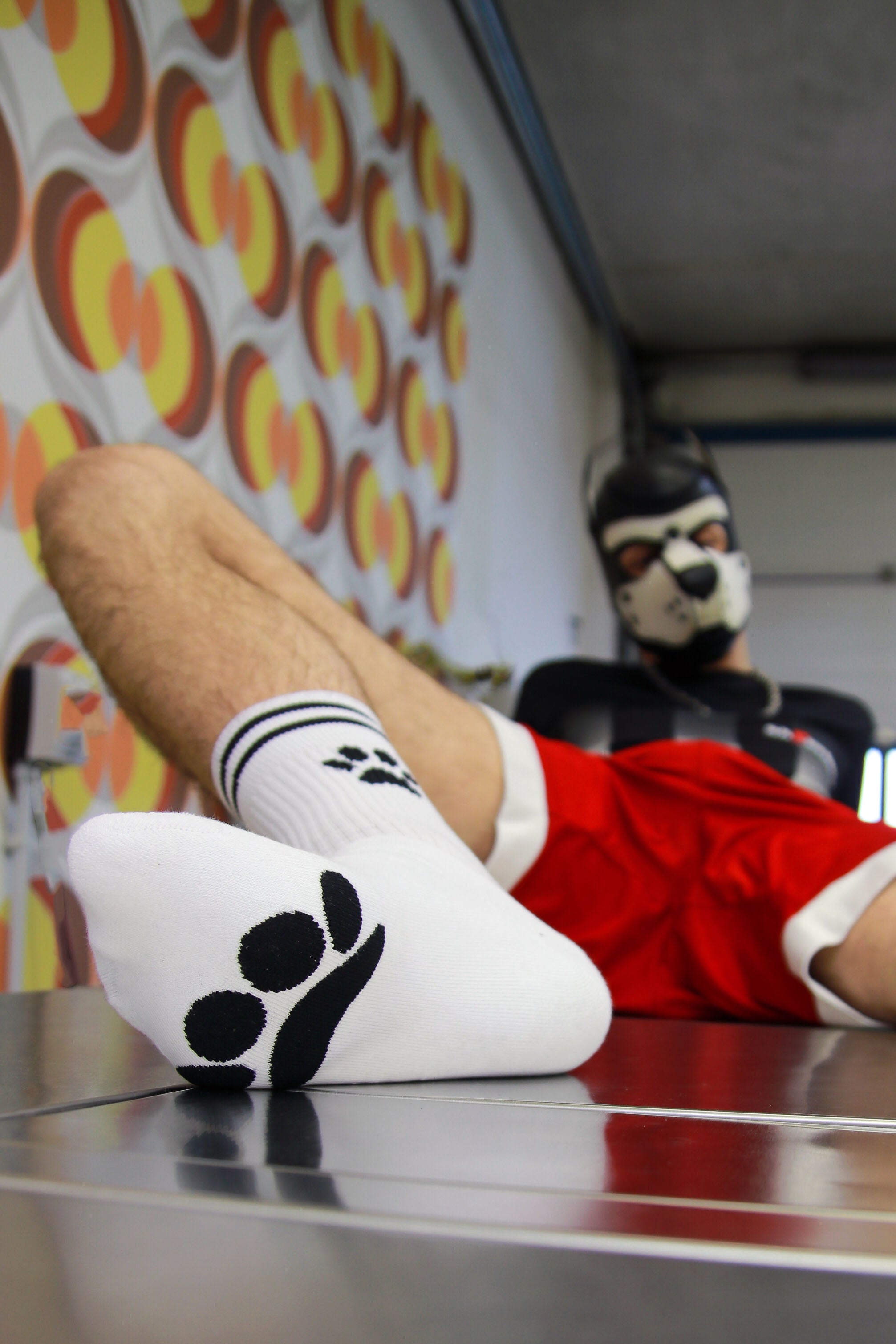 Sk8erboy® PUPPY Socks weiß Sk8erboy® Socken nudosz.myshopify.com